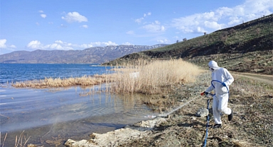 Hazar Gölü çevresinde bataklık, sulak alanlarda karasinek ve larva çalışmaları sürdürülüyor