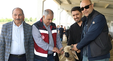 Halk elinde küçükbaş hayvan ıslahı projesi gelişiyor
