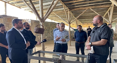 Nazırlı: Rafadan Tayfa