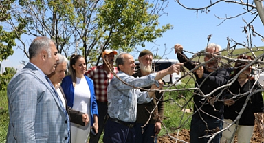 Zirai Don nedeniyle zarar gören bahçeler ziyaret edildi