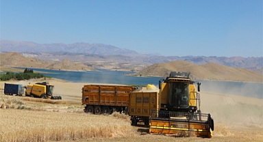 Elazığ'da 350.000 ton hububat rekoltesi beklenmekte