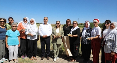  Elazığ'da Nohut Üretimi Güçleniyor: Ağın leblebisi'ne büyük katkı