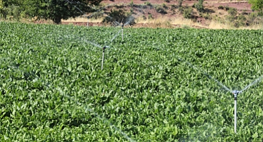 Tarım İl Müdürlüğü sulama sistemi kurulumlarını denetledi