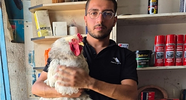 Elazığlı vatandaştan kayıp tavuğu için duygusal çağrı