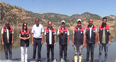 Özlüce Baraj gölüne 35 bin yavru sazan bırakıldı