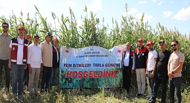 Bakanlık destekli proje ile kaba yem açığına çözüm hedefleniyor