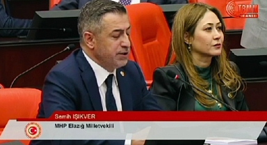 Işıkver, TBMM'sinde GSM ve İnternet problemini dile dile getirdi