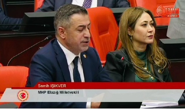 Işıkver, TBMM'sinde GSM ve İnternet problemini dile dile getirdi