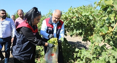Laboratuvar sonuçları temiz çıkan üreticilere sertifikaları teslim edildi