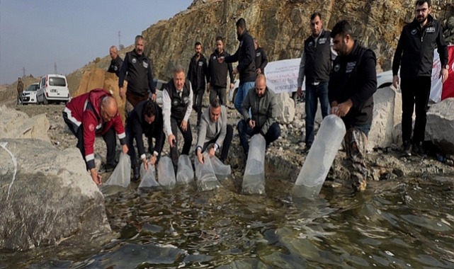 Elazığ'da 420 bin balık yavrusu karakaya baraj gölü'ne bırakıldı
