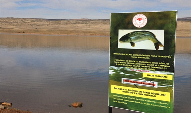 Elazığ'da su kaynakları canlanıyor