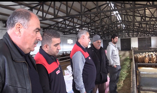 Kovancılar'da 120 başlık modern ağıl hizmete açıldı