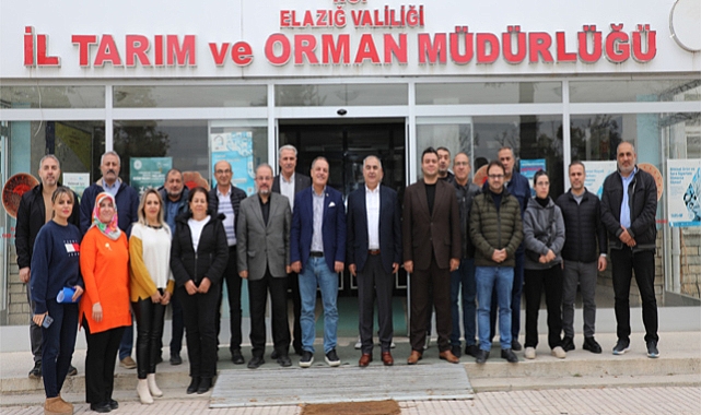 Meyve ağaçlarında budama ve aşılama teknikleri eğitimi tamamlandı