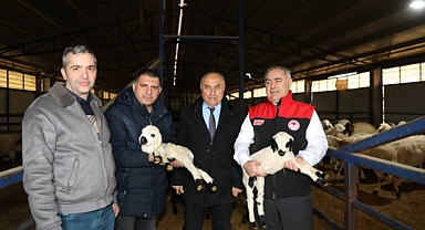 Akçakiraz'da küçükbaş hayvancılığa modern yatırım