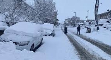 Kar yağışı 115 köy yolunu ulaşıma kapattı