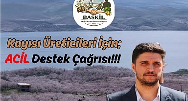 Kayısı üreticisi alarm veriyor: Üç yıldır gelir yok, borç katlanıyor