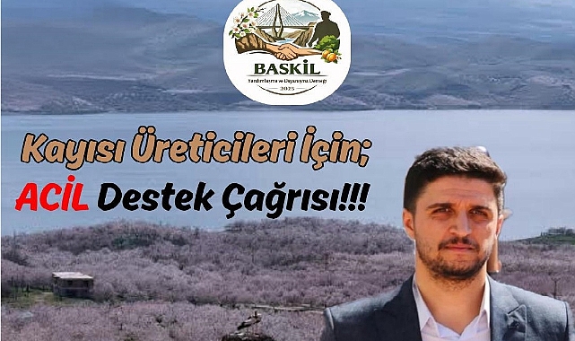 Kayısı üreticisi alarm veriyor: Üç yıldır gelir yok, borç katlanıyor