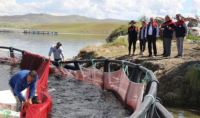Elazığ, Türk somonu üretiminde gücünü artırıyor