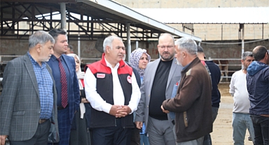 Kurbanlık satış ve kesim alanlarında denetim