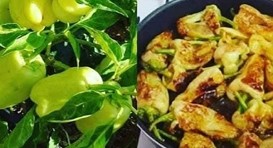 Elazığ'ın Karaçor biberinin taklitleri aynı tadı vermiyor