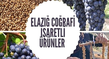 Kurumda tesçilli 9 ürünümüz bulunmakta