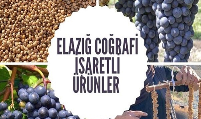 Kurumda tesçilli 9 ürünümüz bulunmakta