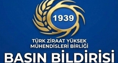 Ziraat Mühendisleri Birliği: Buğday alım fiyatı en az 20 tl olmalı