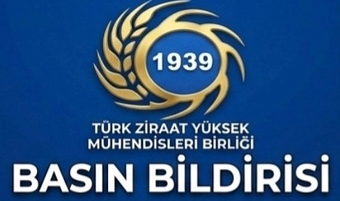 Ziraat Mühendisleri Birliği: Buğday alım fiyatı en az 20 tl olmalı